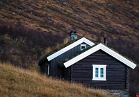 Mørkebrun hytte